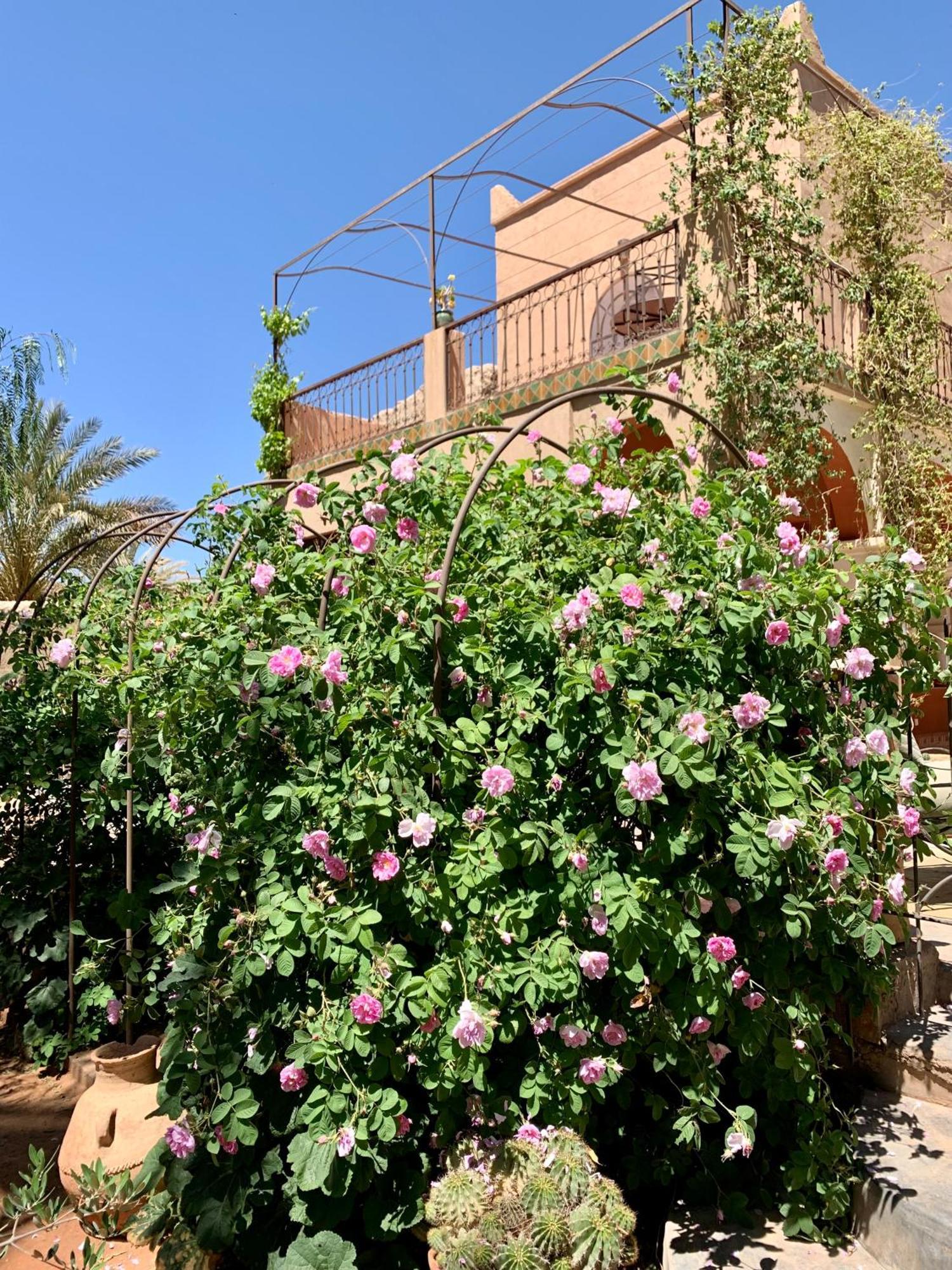 El Hara Riad Chant D'Etoiles Tadighoust מראה חיצוני תמונה